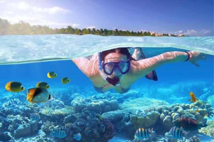 Crystal Clear Waters: Best Spots for Snorkeling and Sunbathing