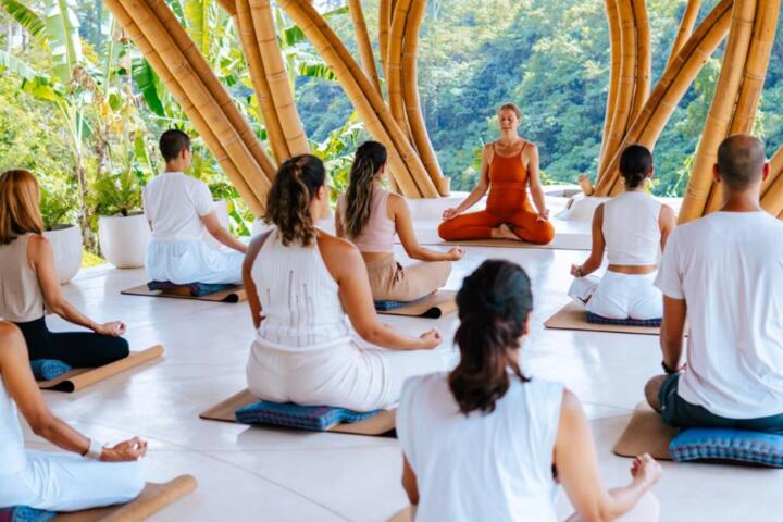 Wellness Through Movement: Best Yoga and Fitness Retreats