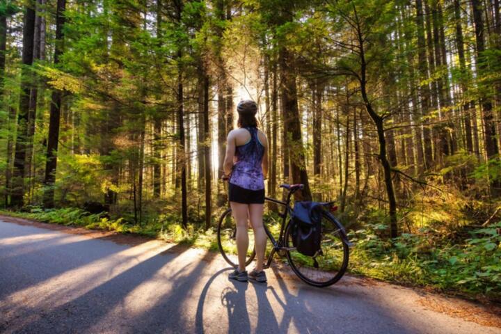 Cycling Through Paradise: Scenic Routes for Active Travelers