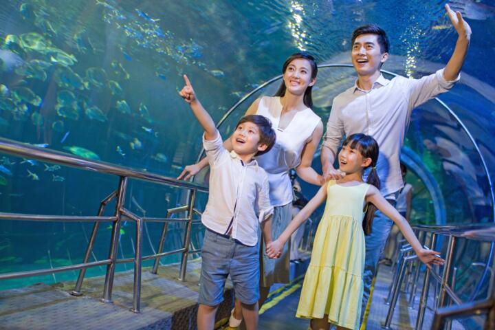 Kid-Friendly Cities: Destinations with the Best Museums and Parks