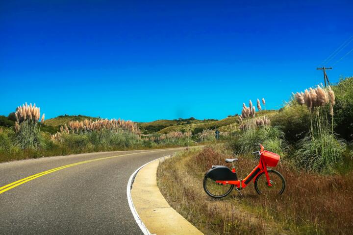 The Most Scenic Road Trips You’ll Never Forget
