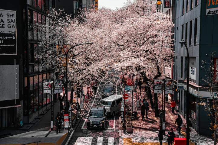 Cities That Look Completely Different in Each Season